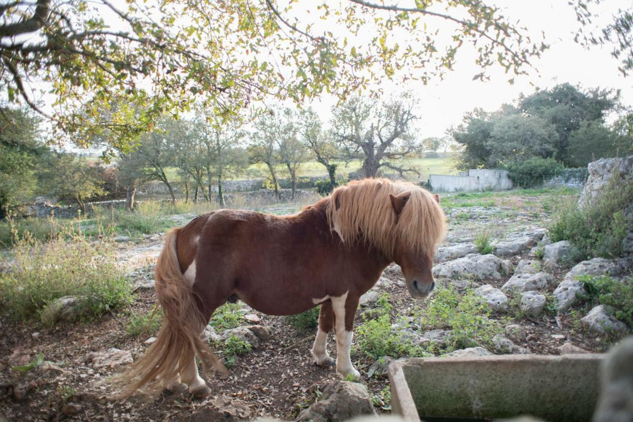Red Rose Bed & Breakfast Martina Franca